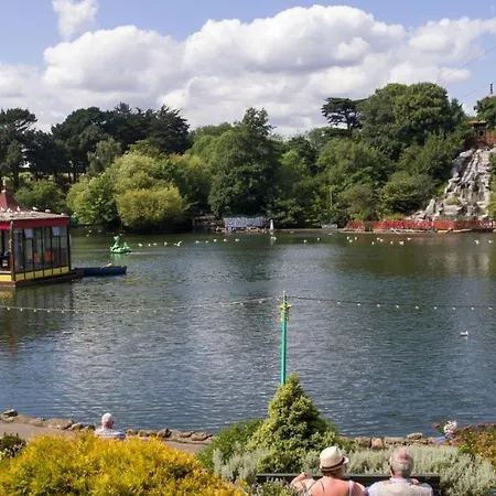 The Black Swan Scarborough